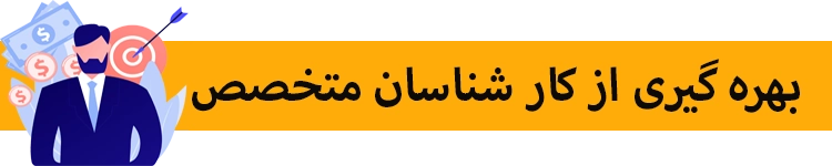 کارشناسان حرفه ایی